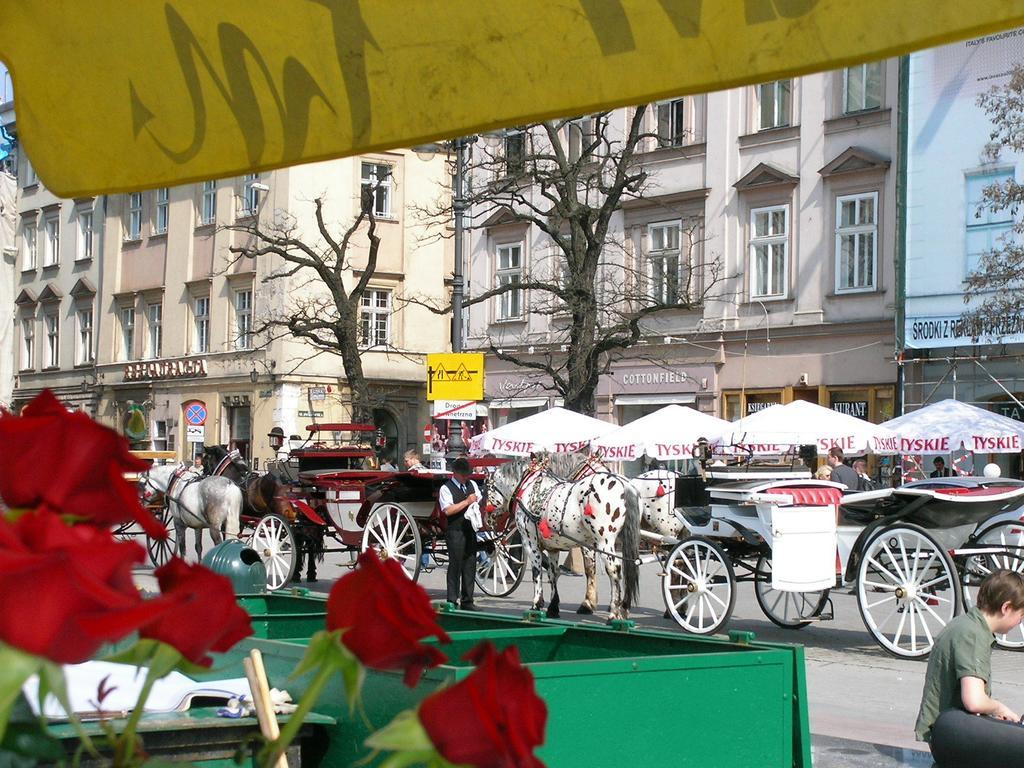 New Sweet One Daire Krakow Oda fotoğraf